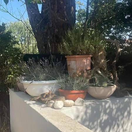 La Veranda * San Teodoro (Sardinia)